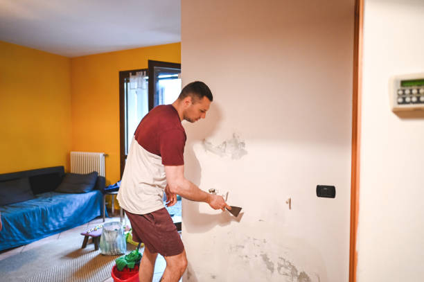 Best Local Mold Removal Service  in Joseph City, AZ